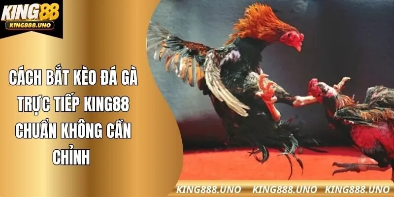 Cách bắt kèo đá gà trực tiếp king88 chuẩn không cần chỉnh